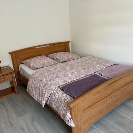 Apartament Au Coeur Des Vosges Saint-Etienne-les-Remiremont Zewnętrze zdjęcie