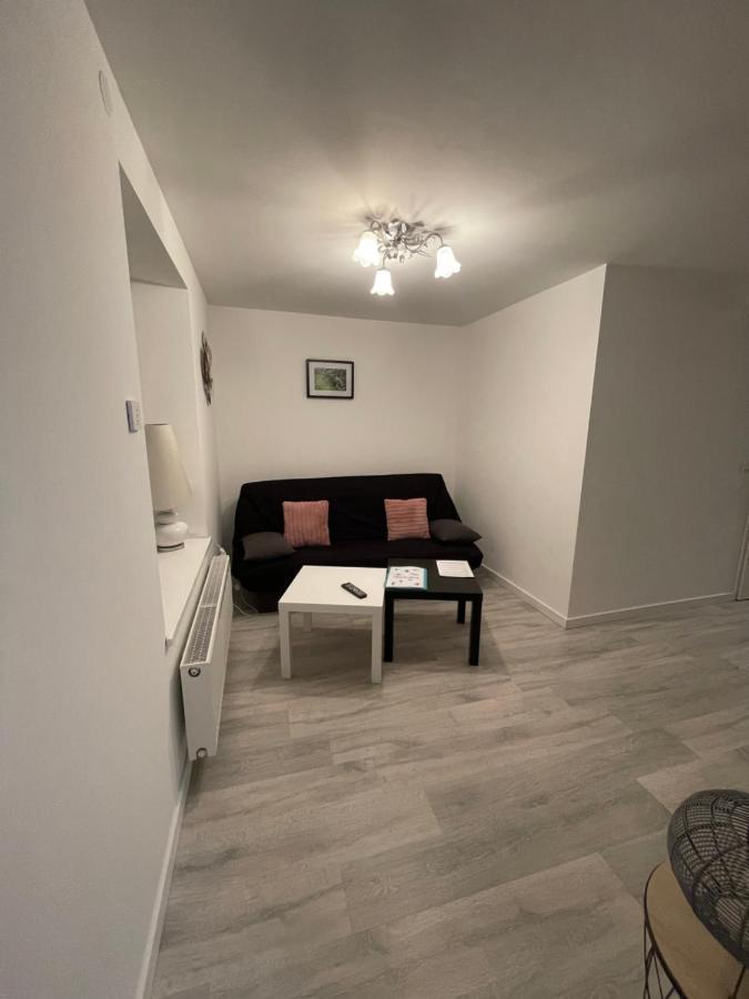 Apartament Au Coeur Des Vosges Saint-Etienne-les-Remiremont Zewnętrze zdjęcie